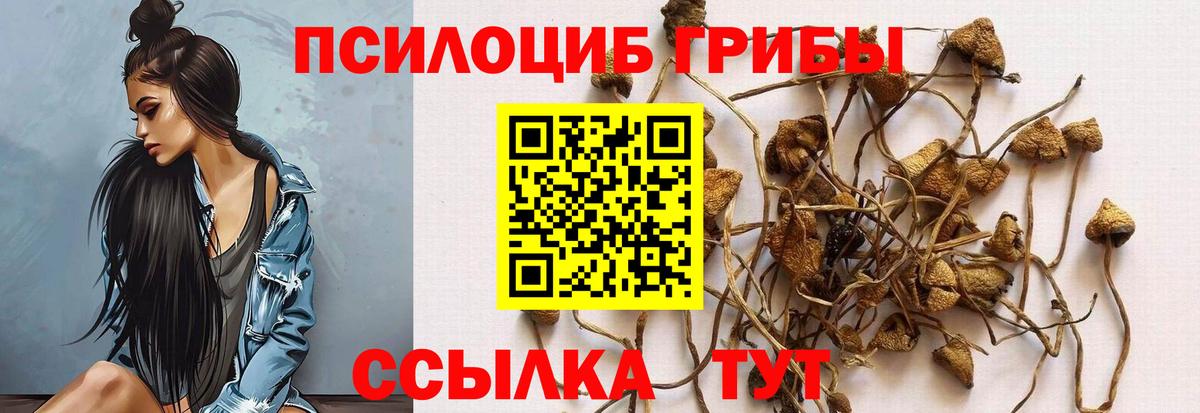 Галлюциногенные грибы Magic Shrooms  Вход с VPN  Ижевск 